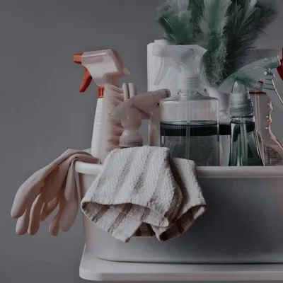 Angelina cleaning