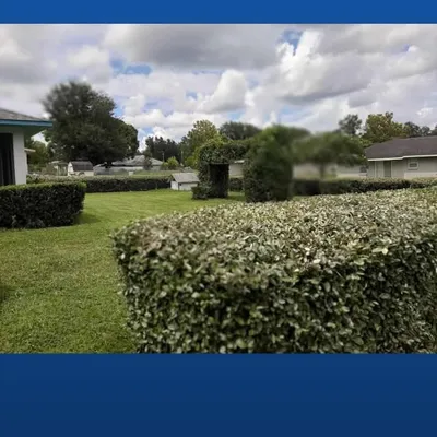 Mr.bigmotion lawn care LLC