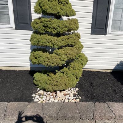 Kams lawn care
