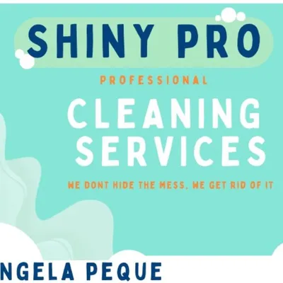 Shiny pro