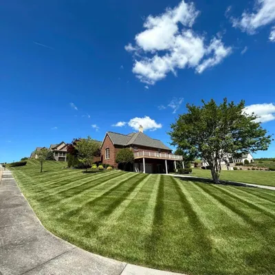 MARIO•S LAWN AND LANDSCAPING