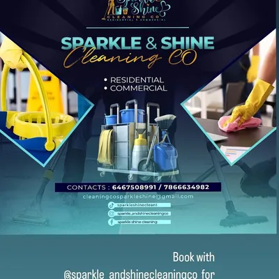 Sparkle & Shine Cleaning Co.