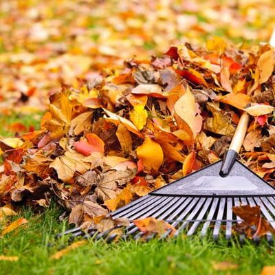 Diaz Lawncare