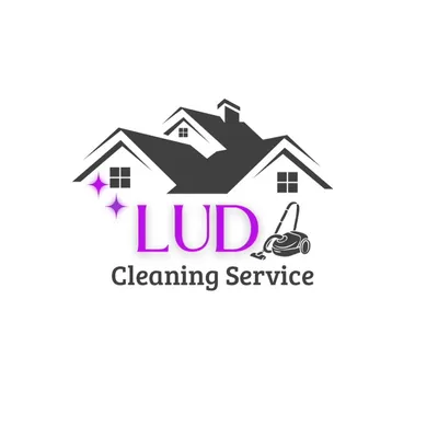 Lud cleaning service ✨
