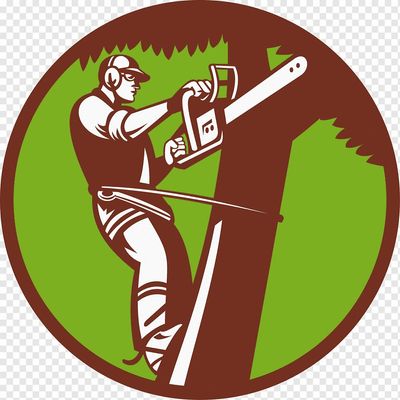 Sky Scraper Service Inc
