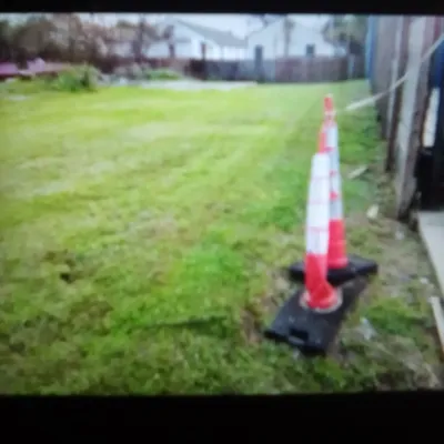 landscaping and junk removal