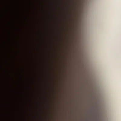 Cleaning service