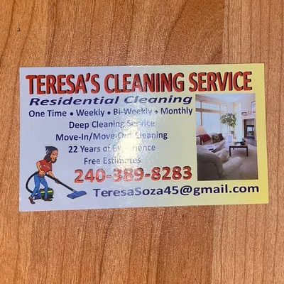 Teresa Cleaning service