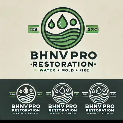 BhnvProRestoration