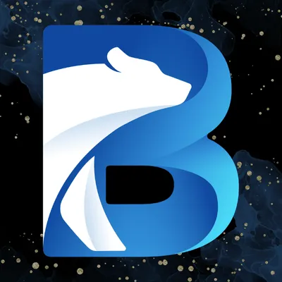 Bear Pro Cleaners