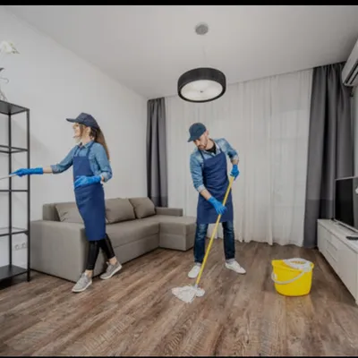 paradise cleaning