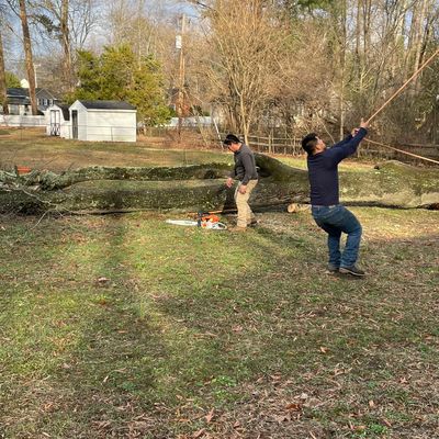 Moraleslandscaping
