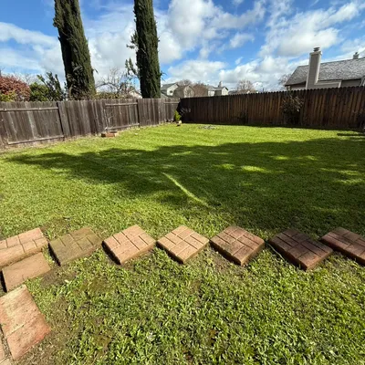 ALH lawn care services