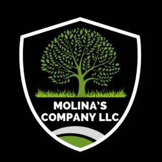 Molina’s Company LLC