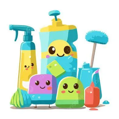Messy Mamas Household Cleaning and Organizing