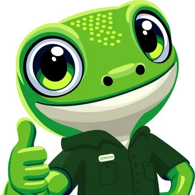 Gecko Green Lawn Care