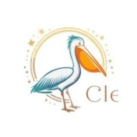 PelicanShineServices