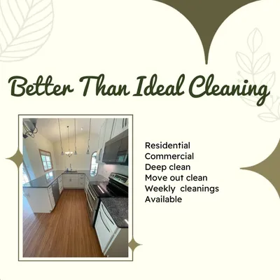 B.T.I. Cleaning LLC
