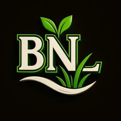 Brother N Lawn LLC