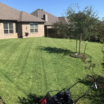 Coreas Lawn Service ?