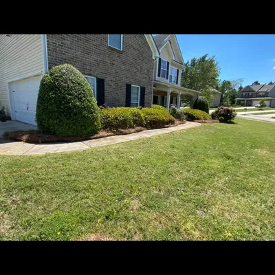 Evergreen landscaping
