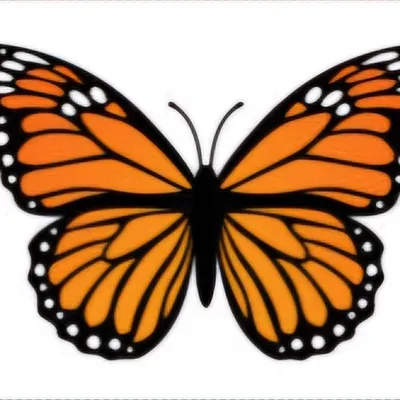 Monarch