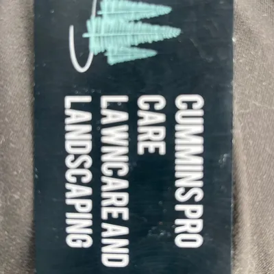 Cummins Pro lawn care