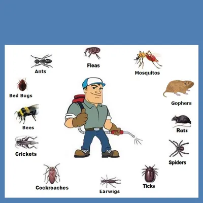 Assured Pest Control