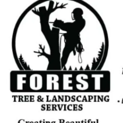 Forest Tree and Landscaping Services