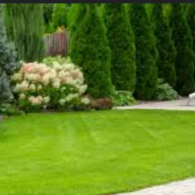 Nohel lawn services