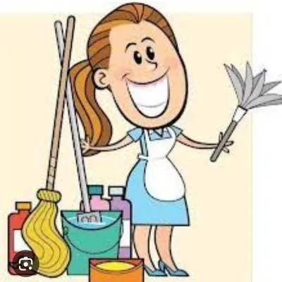 VieiraCarvalho  House Cleaning