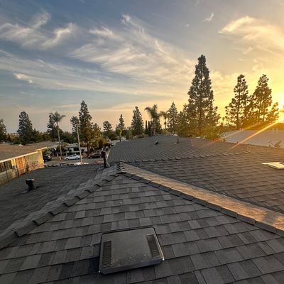 Apex Roofing