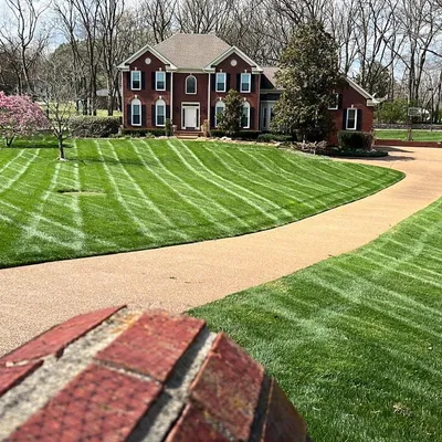 rayo lawn care