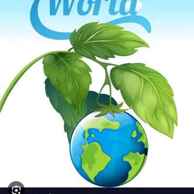 Green World Services