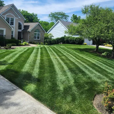 BD lawn service