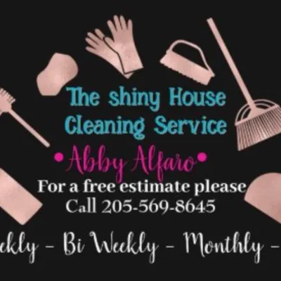 The Shiny house, cleaning services