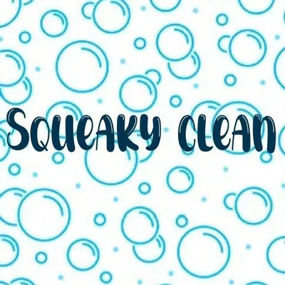 Squeaky Clean Team