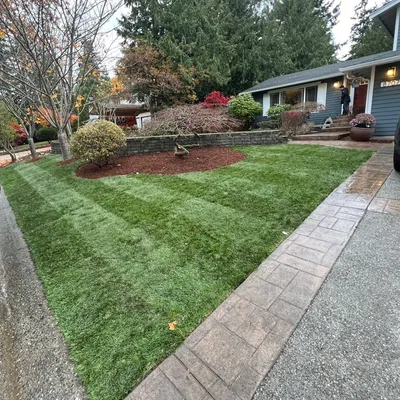 M & D landscape