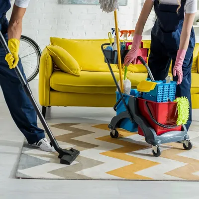 Extra clean/ The cleaning pros