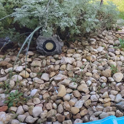 mikes lawn/repairs