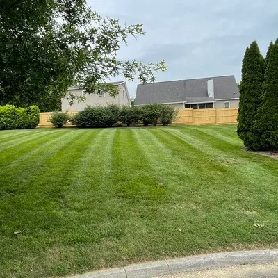 Simple Lawn Care