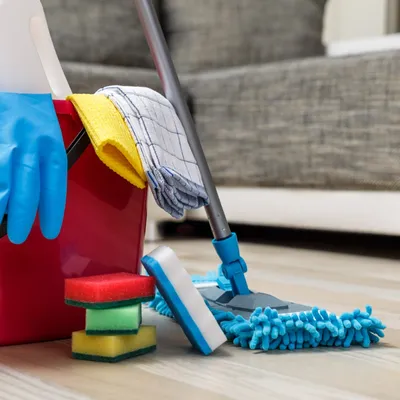 Sierra cleaning