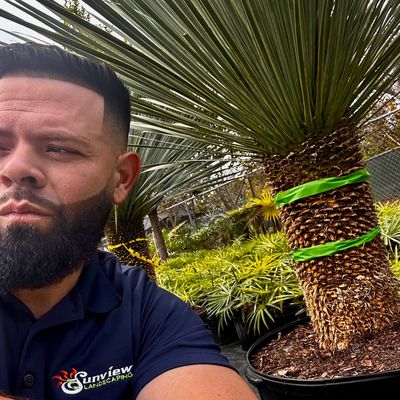 Boca Landscape Designs