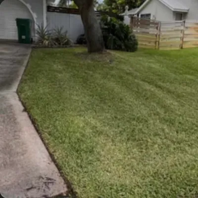 Prime Cuts Lawn Service