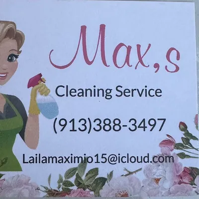 Max,s cleaning