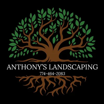 Anthony’s landscaping