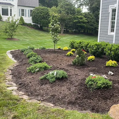Lionheart Landscaping