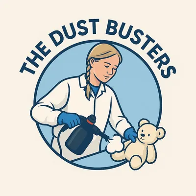 The Dust Busters