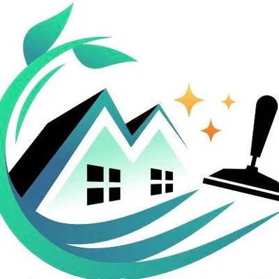 Platinum Polish Cleaning Services