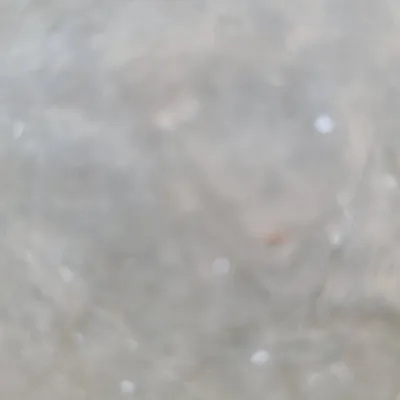 Rewi